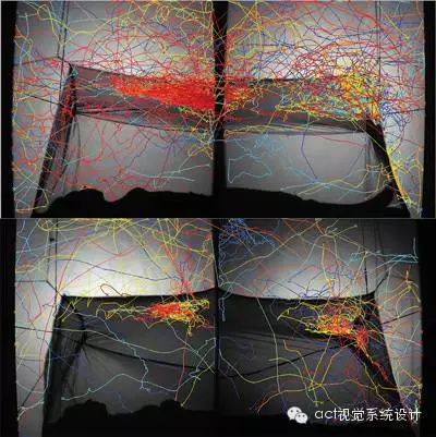 高速相機(jī)捕捉蚊子